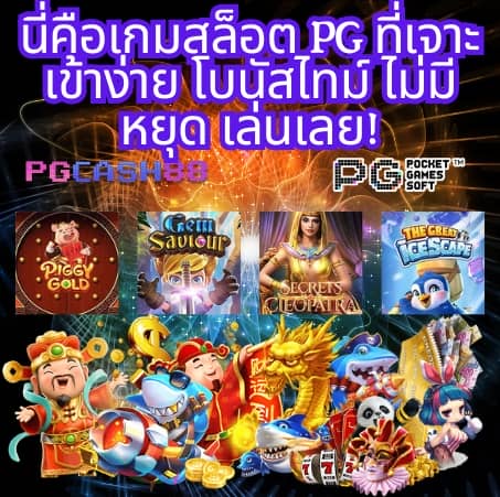 cat8888 หวยออนไลน์ เข้าสู่ระบบ